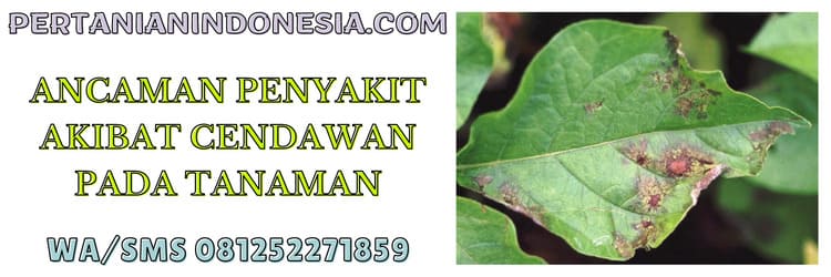 ancaman,gangguan,penyakit,jamur,cendawan